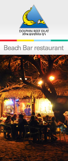 beach bar restaurant