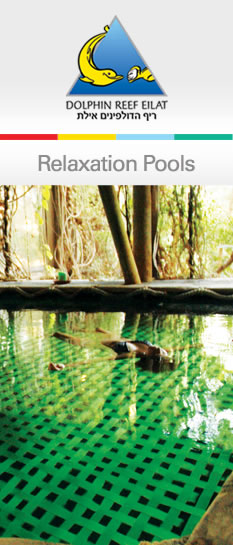relaxation pools